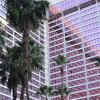 101009_052_lasvegas_flamingo