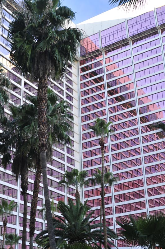 101009_052_lasvegas_flamingo