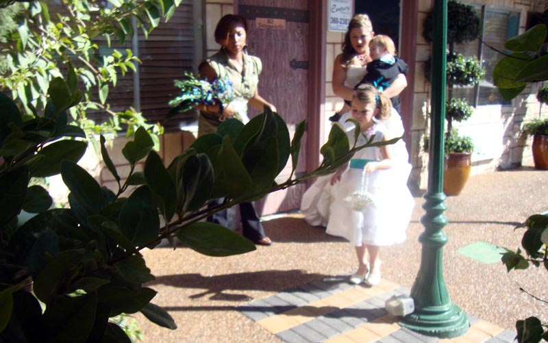 101010_033_lasvegas_wedding