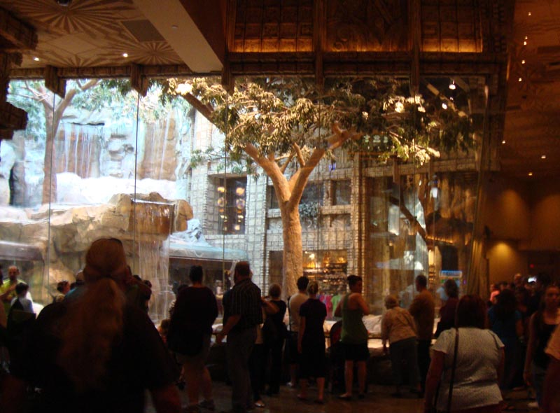 101011_013_lasvegas_mgm