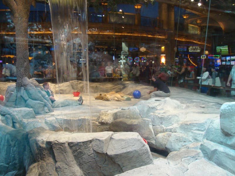 101011_016_lasvegas_mgm