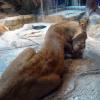 101011_019_lasvegas_mgm