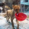 101011_021_lasvegas_mgm