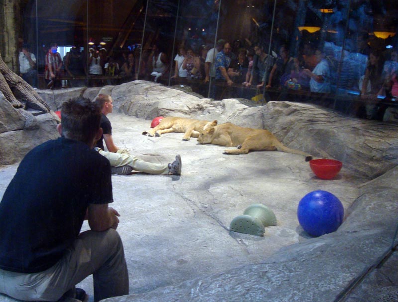 101011_025_lasvegas_mgm