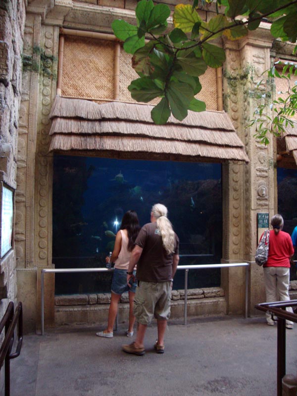 101011_068_lasvegas_mandalaybay
