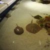 101011_076_lasvegas_mandalaybay
