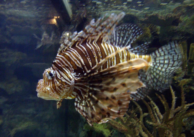 101011_078_lasvegas_mandalaybay