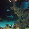 101011_085_lasvegas_mandalaybay