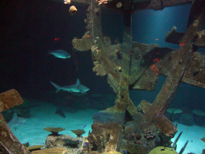 101011_085_lasvegas_mandalaybay
