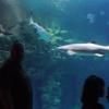 101011_087_lasvegas_mandalaybay