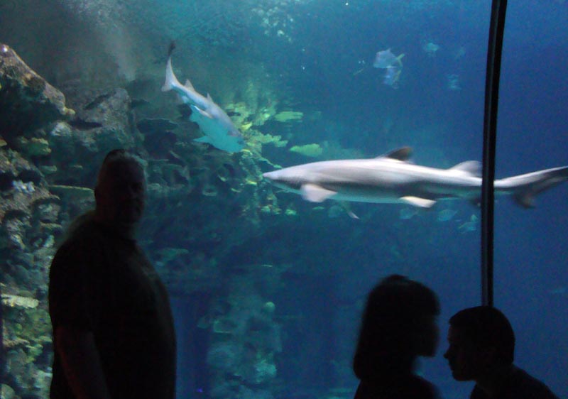 101011_087_lasvegas_mandalaybay