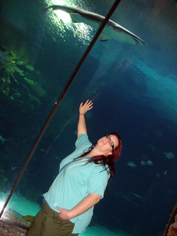 101011_089_lasvegas_mandalaybay