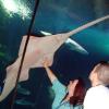 101011_090_lasvegas_mandalaybay