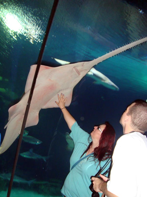 101011_090_lasvegas_mandalaybay