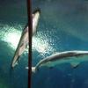 101011_091_lasvegas_mandalaybay