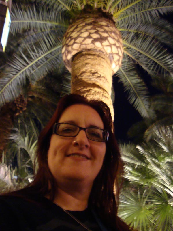 101012_067_lasvegas_mirage
