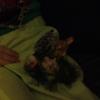 101204_10_uglyxmassweaterparty