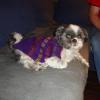 101204_16_uglyxmassweaterparty
