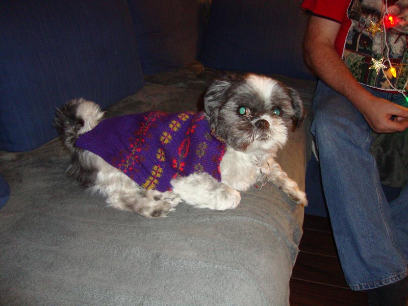 101204_16_uglyxmassweaterparty