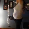 101204_93_uglyxmassweaterparty