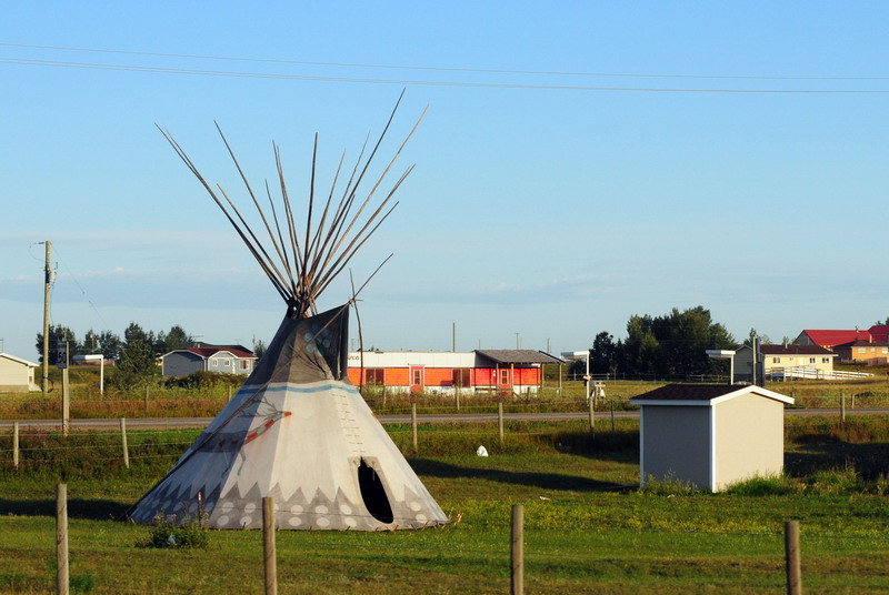 100825_013_siksikanation