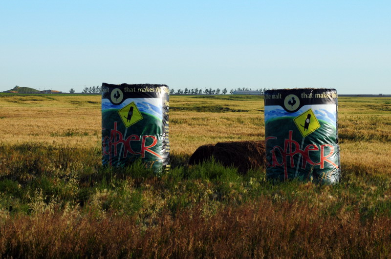 100825_021_highway22x