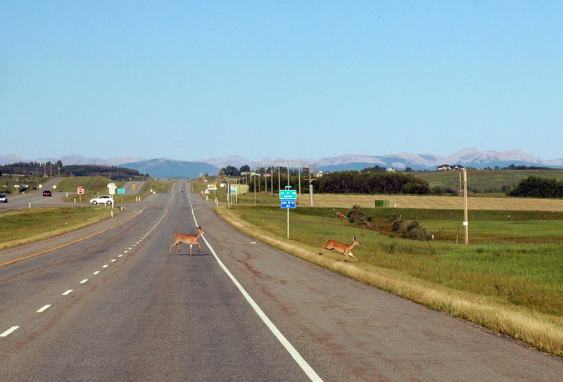 100825_042_highway22x