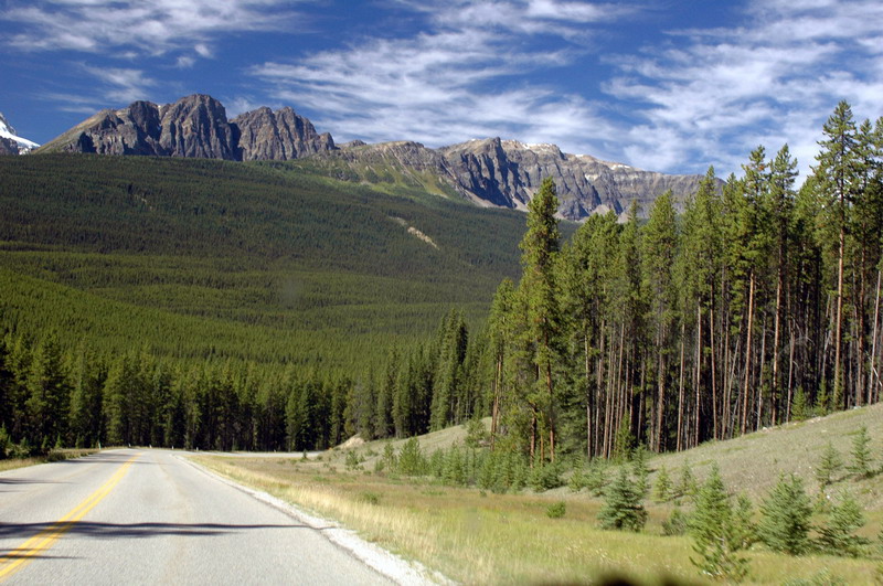 100825_113_bowvalleyparkway