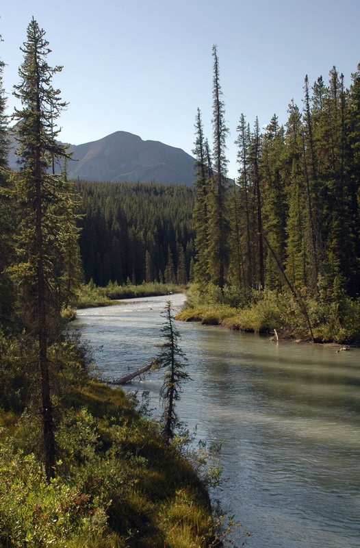 100825_123_lakelouisecg