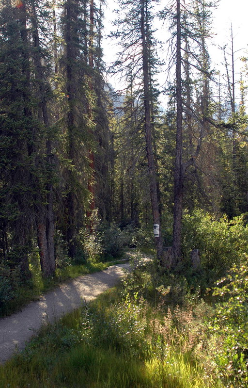 100825_126_lakelouisecg