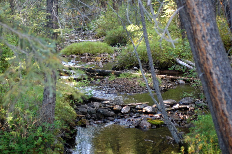 100825_129_lakelouisecg
