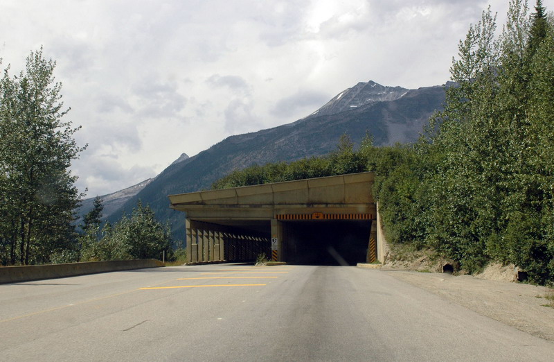 100826_047_highway1
