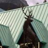 100826_054_rogerspass