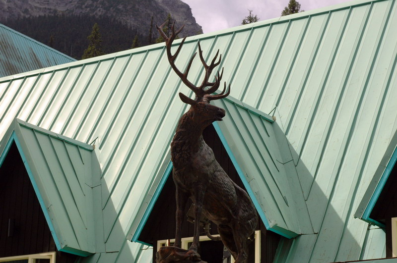 100826_054_rogerspass