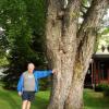100826_096_revelstoke