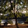 100826_101_revelstoke