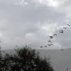 100827_42_salmonarm