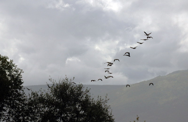 100827_42_salmonarm