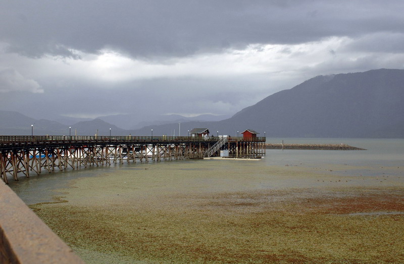 100827_43_salmonarm
