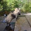 100828_02_heraldprovincialpark