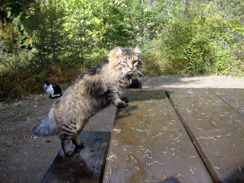 100828_02_heraldprovincialpark
