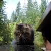 100828_03_heraldprovincialpark