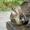 100828_04_heraldprovincialpark