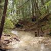 100828_21_heraldprovincialpark