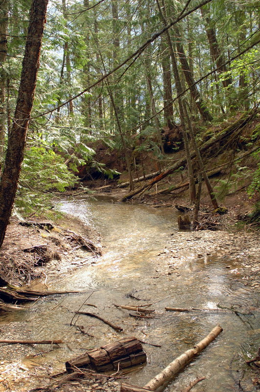 100828_21_heraldprovincialpark
