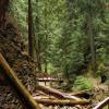 100828_26_heraldprovincialpark