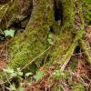 100828_35_heraldprovincialpark