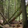 100828_36_heraldprovincialpark
