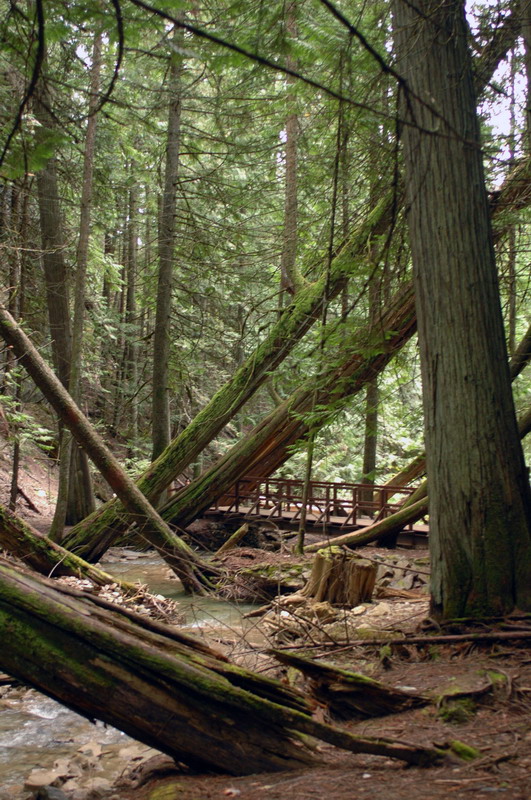 100828_36_heraldprovincialpark