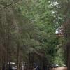 100828_38_heraldprovincialpark